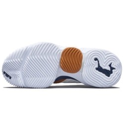 Nike LeBron 16 - Amorti Progressif Adaptatif