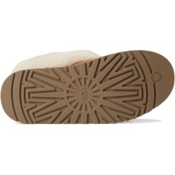 Chaussons UGG Tazzelle | Article 1171393 en Stock